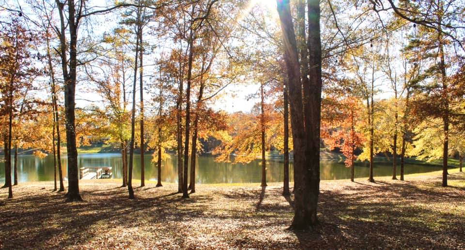 Brookwood is a family-owned, private property and home to Mississippi charm.
